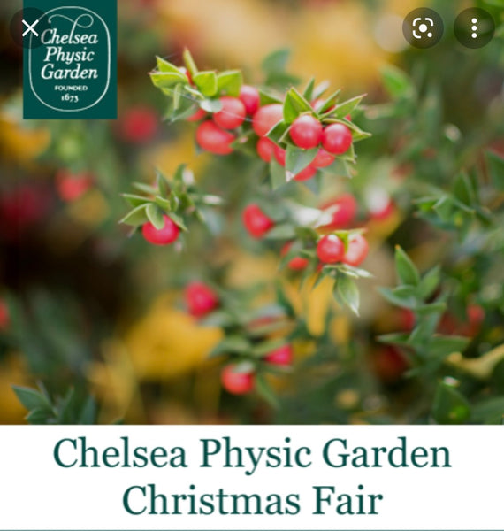 Antique 1950's Black Belgium Bell Gurder Telephone